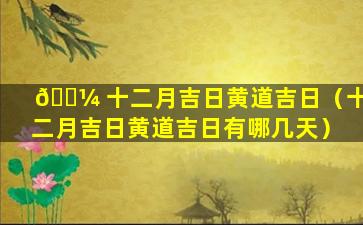 🌼 十二月吉日黄道吉日（十二月吉日黄道吉日有哪几天）